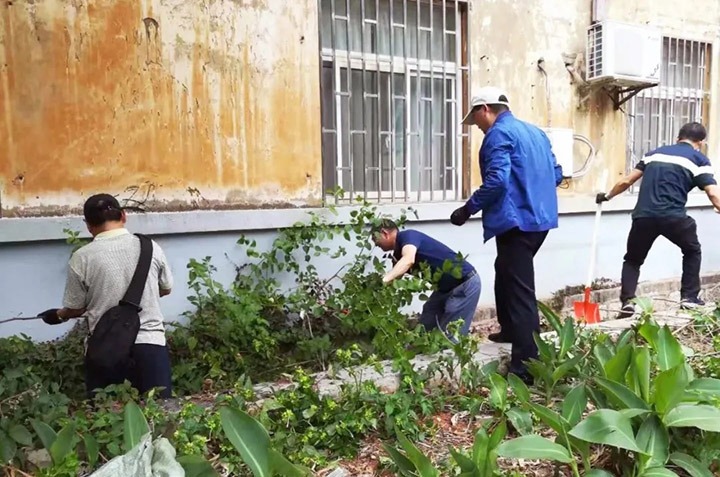 集团机关党委、老干党委开展党员自愿效劳活动