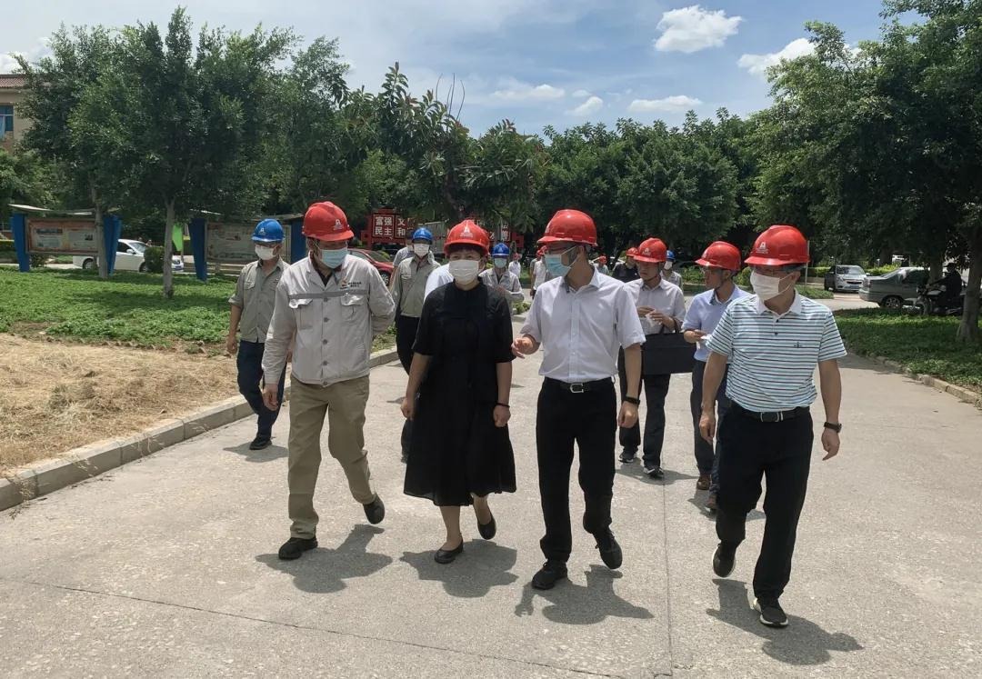 红河州州委副书记、州长罗萍赴云南解化清洁能源开发有限公司解化化工分公司开展清静生产专项调研