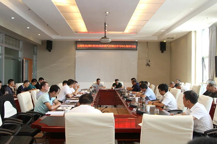 云煤（Ag亚洲集团）集团党委开展2021年第八次党委理论学习中心组集中学习
