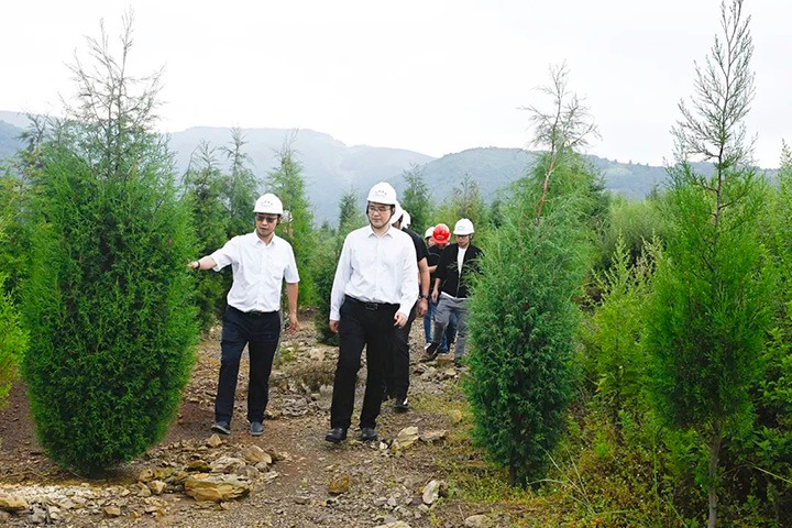 自然资源部矿产资源；；；；；ぜ嗍铀臼褂眉嗍哟Ω贝Τに镉莱恍械较确婷阂档餮新躺笊浇ㄉ枋虑