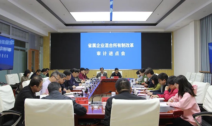 【聚焦云煤】云煤（Ag亚洲集团）集团召开省属企业混淆所有制刷新专项审计进点会