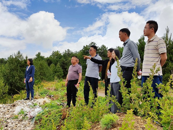 【主题教育】云煤（Ag亚洲集团）集团专职外部董事寸延峰，，，，，集团党委委员、财务总监莫晓丹到马厂煤矿、汉家厂煤矿、竹麻地煤矿开展主题教育调研