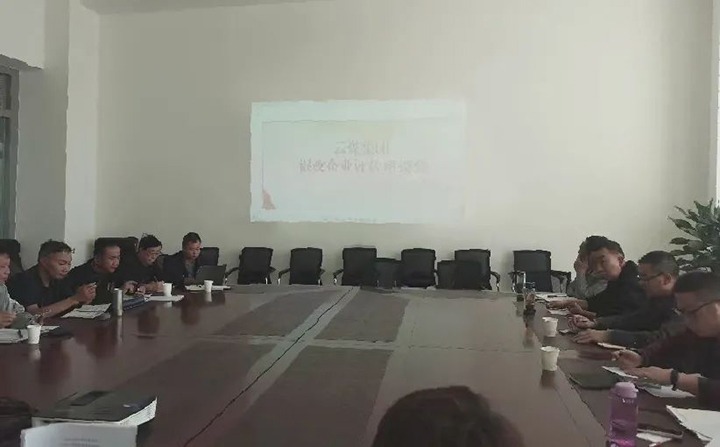 【聚焦云煤】云煤（Ag亚洲集团）集团召开混淆所有制企业评估座谈会
