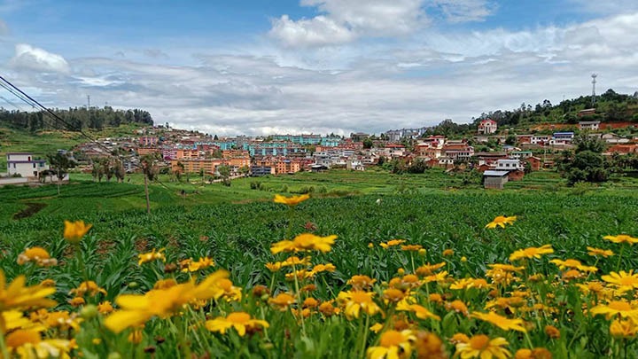 【云煤岁月】笃行不辍营生长，，，，，，，，砥砺奋进谱新篇——平煤故事（一）