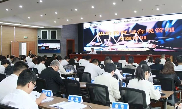 煤炭工业集团、能投集团联合举行2024年度法治教育与合规治理专题培训