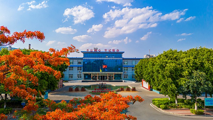 红色基由于引领，，，，，磨练战场写华章  —— 汗水与智慧交织的磨练历程