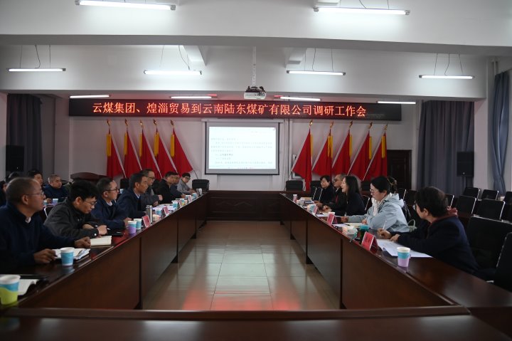 云煤集团党委委员、财务总监莫晓丹一行到陆东煤矿调研指导事情