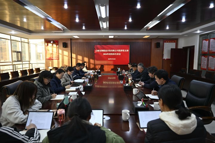 先锋煤业公司党组织圆满完成2024年度组织生涯会